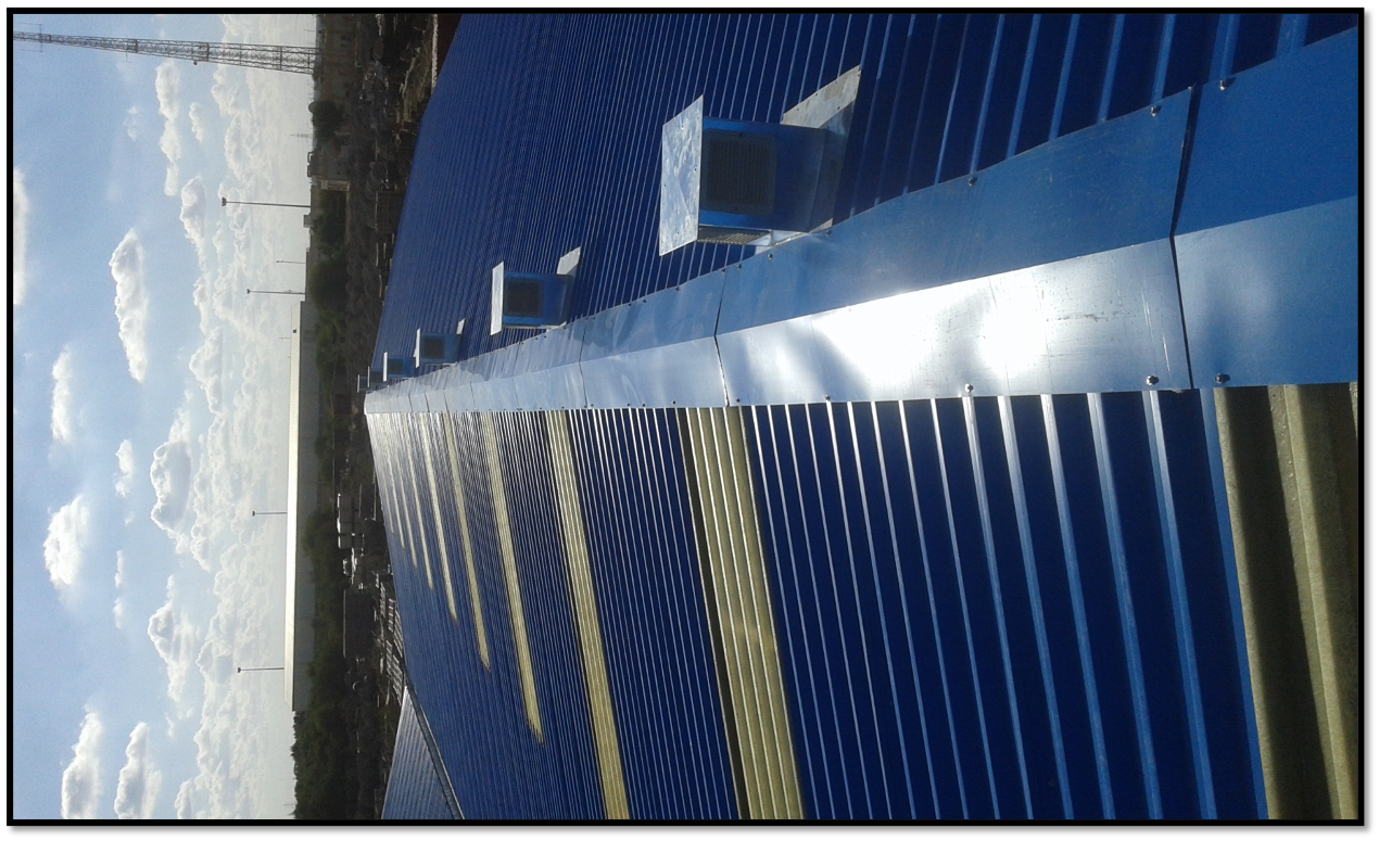 Roof with new shape 2